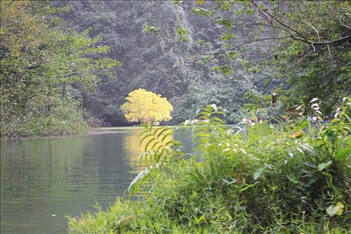 Trang Trang, 34 tuổi, Quận 1, Việt Nam