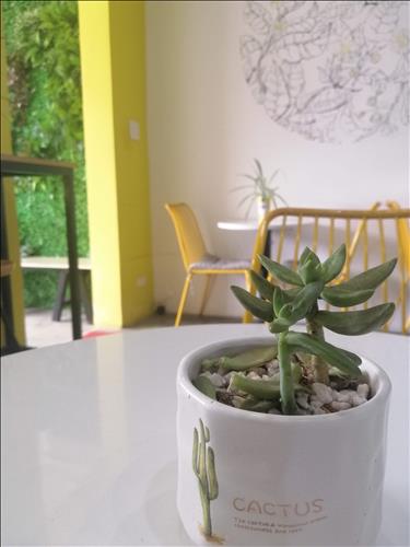 Hermie, 29 tuổi, Quận 1, Việt Nam