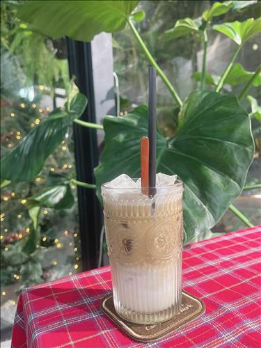 Cà phê sữa, 28 tuổi, Quận 1, Việt Nam