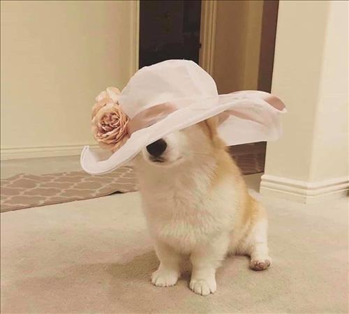 Cỏ may, 30 tuổi, Tam Điệp, Việt Nam