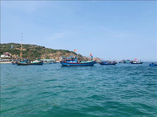 Hoa Thiên Điểu, 35 tuổi, Quận 1, Việt Nam