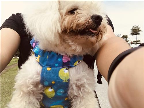 Momo, 27 tuổi, Quận Ba Đình, Việt Nam