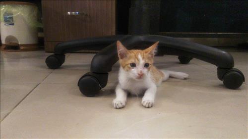 Zh, 26 tuổi, Quận 1, Việt Nam