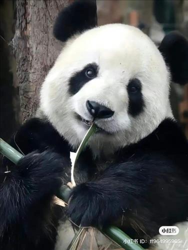 Cá Tập Bơi, 32 tuổi, Quận 1, Việt Nam