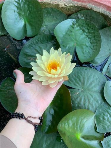ngọc thương, 29 tuổi, Quận 1, Việt Nam