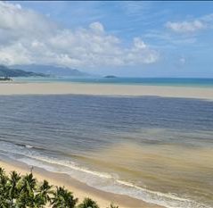 maeve, 33 tuổi, Tìm người yêu, Les, Đà Lạt, Lâm Đồng