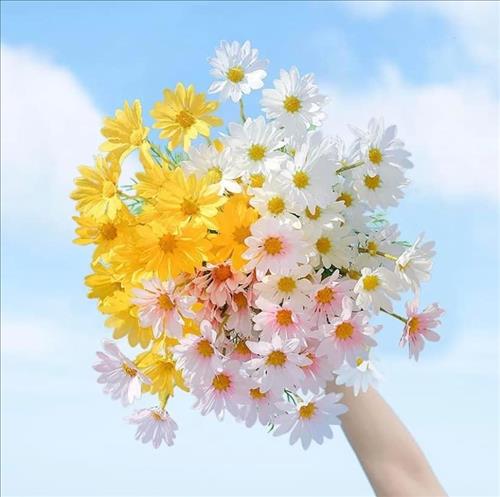 Cây Sồi, 32 tuổi, Quận Ba Đình, Việt Nam