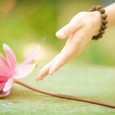 Hạ, 24 tuổi, Quận 1, Việt Nam
