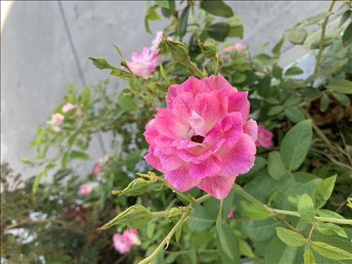 Cherrylovely, 27 tuổi, Quận 1, Việt Nam