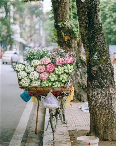 Rose, 35 tuổi, Quận Liên Chiểu, Việt Nam