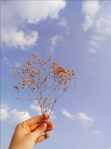 Nana, 27 tuổi, Quận 1, Việt Nam