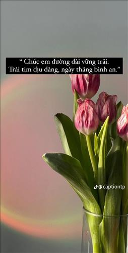 Sự vấp ngã, 29 tuổi, Quận 1, Việt Nam
