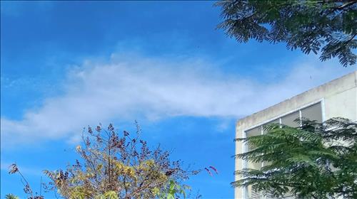 Thanh Trà, 26 tuổi, Quận 1, Việt Nam
