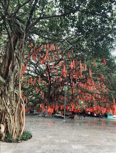 Nguyên, 32 tuổi, Quận 1, Việt Nam