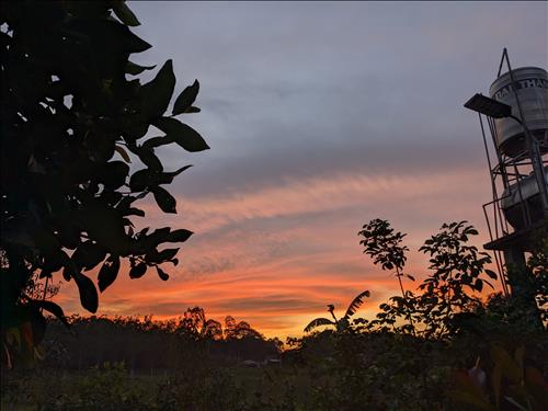 Lặng yên, 36 tuổi, Quận 1, Việt Nam