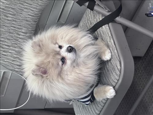 như, 26 tuổi, Quận 1, Việt Nam