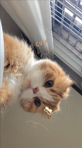 TEDDY, 30 tuổi, Quận 1, Việt Nam