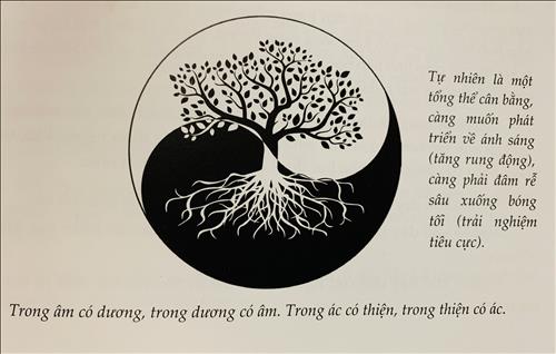 Cáo mèo, 33 tuổi, Quận 1, Việt Nam