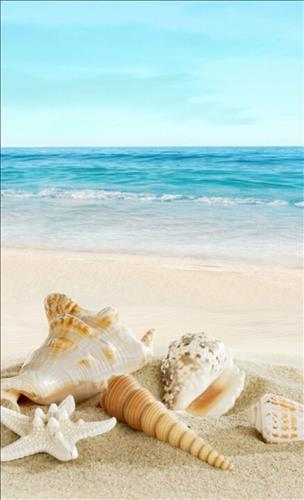 Sea, 27 tuổi, Quận 1, Việt Nam