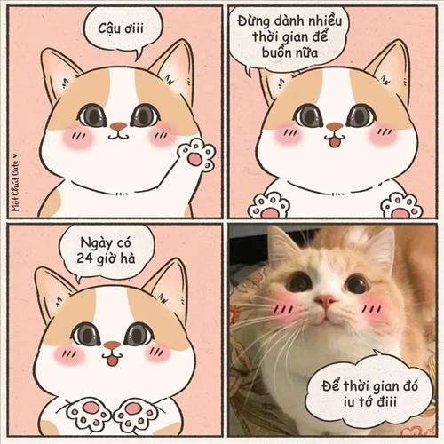 Silence, 26 tuổi, Quận 1, Việt Nam