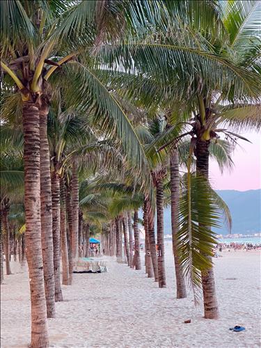 November, 29 tuổi, Quận 1, Việt Nam