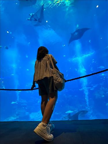 Mei, 27 tuổi, Quận 1, Việt Nam