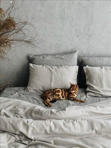 Hill, 27 tuổi, Quận 1, Việt Nam