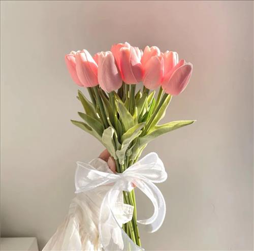 Ngân Hoàng, 29 tuổi, Quận 1, Việt Nam
