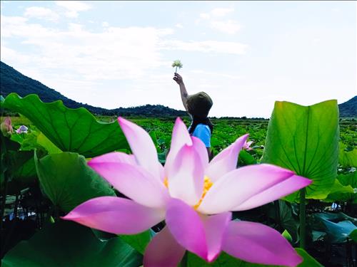 vân Nguyễn, 40 tuổi, Nha Trang, Việt Nam