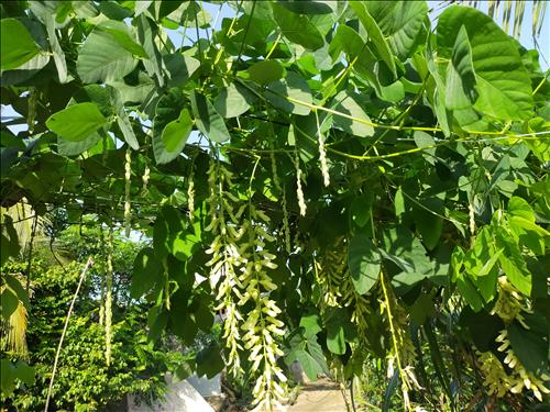 Tamdieu, 25 tuổi, Quận 1, Việt Nam