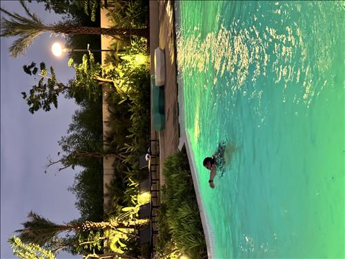 C.Purple, 29 tuổi, Quận 1, Việt Nam