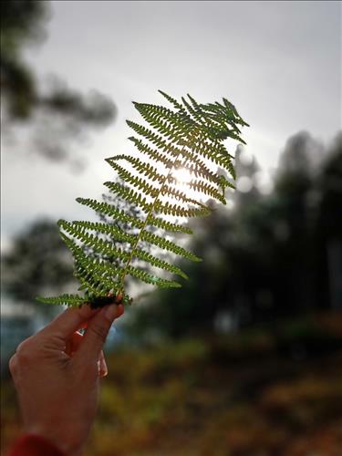 Bình Nhi, 34 tuổi, Quận 1, Việt Nam