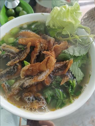 Mango, 50 tuổi, Quận Ba Đình, Việt Nam