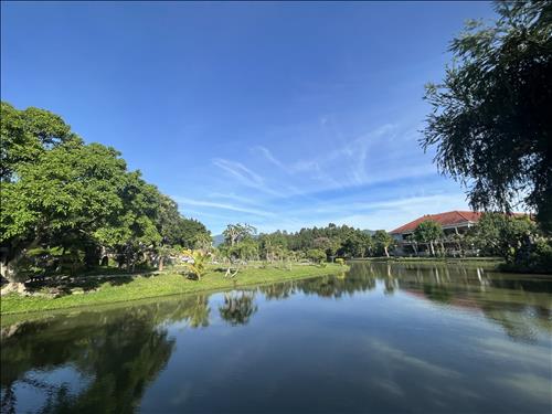 Bình Yên, 29 tuổi, Biên Hòa, Việt Nam
