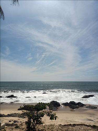 Sea, 31 tuổi, Quận 1, Việt Nam