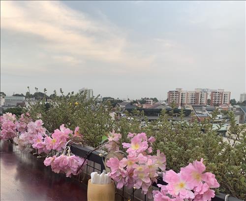 Mai, 35 tuổi, Quận 1, Việt Nam