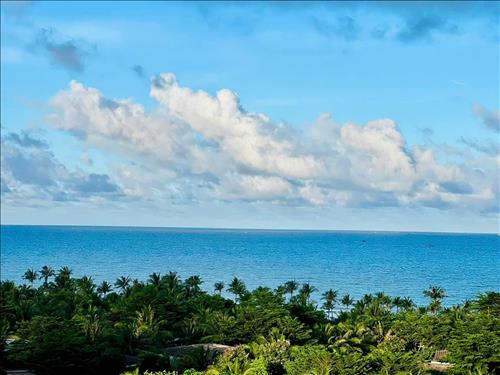 NƠI TÌNH YÊU BẮT ĐẦU, 49 tuổi, Quận 1, Việt Nam
