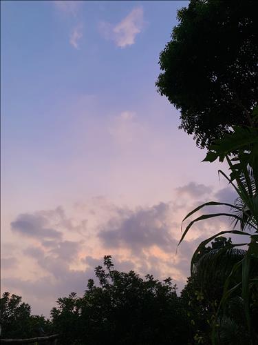 Henry Dương, 17 tuổi, Quận 1, Việt Nam