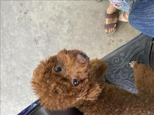 K, 33 tuổi, Quận 1, Việt Nam