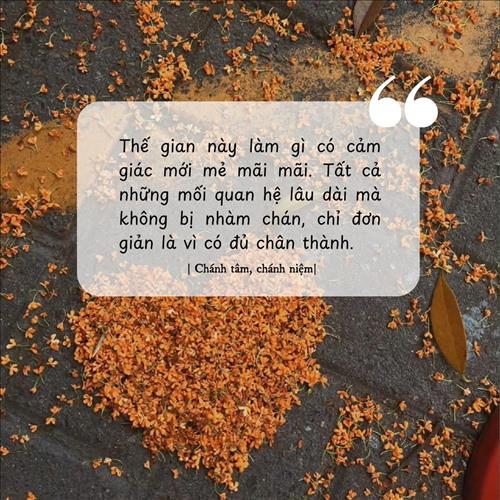 Tulip, 40 tuổi, Quận 1, Việt Nam