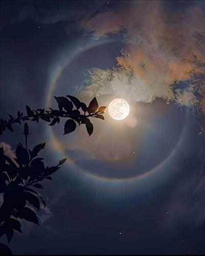 Sun, 35 tuổi, Quận 1, Việt Nam