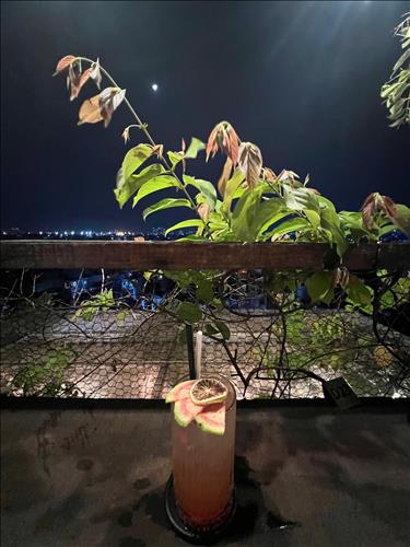 Hummmm, 28 tuổi, Quận 1, Việt Nam