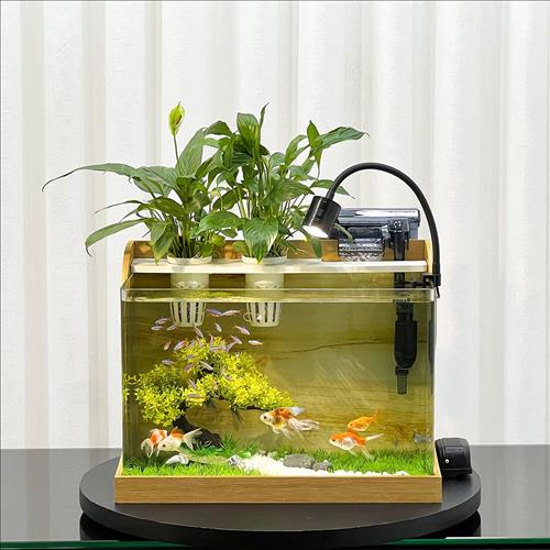 Chu Chu, 30 tuổi, Quận 1, Việt Nam