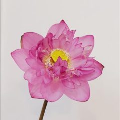 An, 25 tuổi, Quận 1, Việt Nam