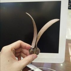 Pon, 24 tuổi, Quận 1, Việt Nam